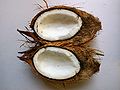 Survival food halved coconut